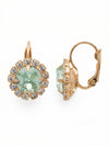 Haute Halo Dangle Earrings