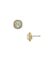 Haute Halo Stud Earring