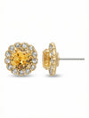 Haute Halo Stud Earring