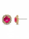 Haute Halo Stud Earring
