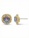 Haute Halo Stud Earring