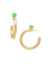 Keeley Studded Hoop Earrings