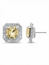 Autumn Stud Earrings