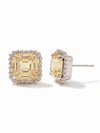 Izzy Decorated Stud Earrings