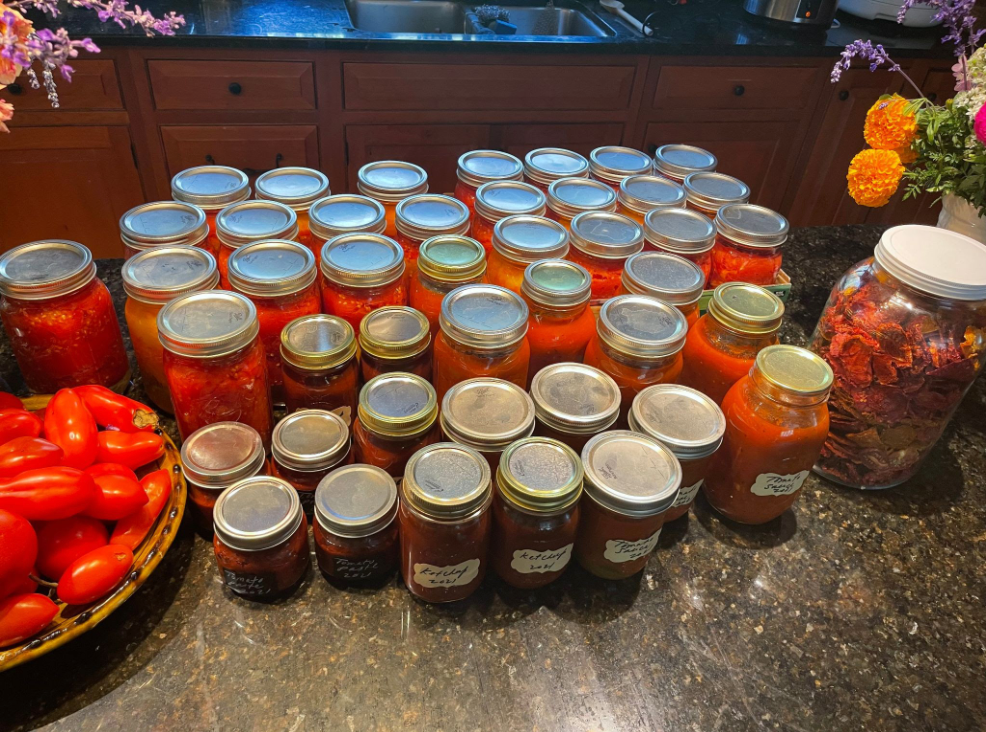 Tomato Sauce, Ketchup, and Paste