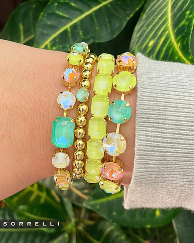 BFS1BGMAM Marketing image 1