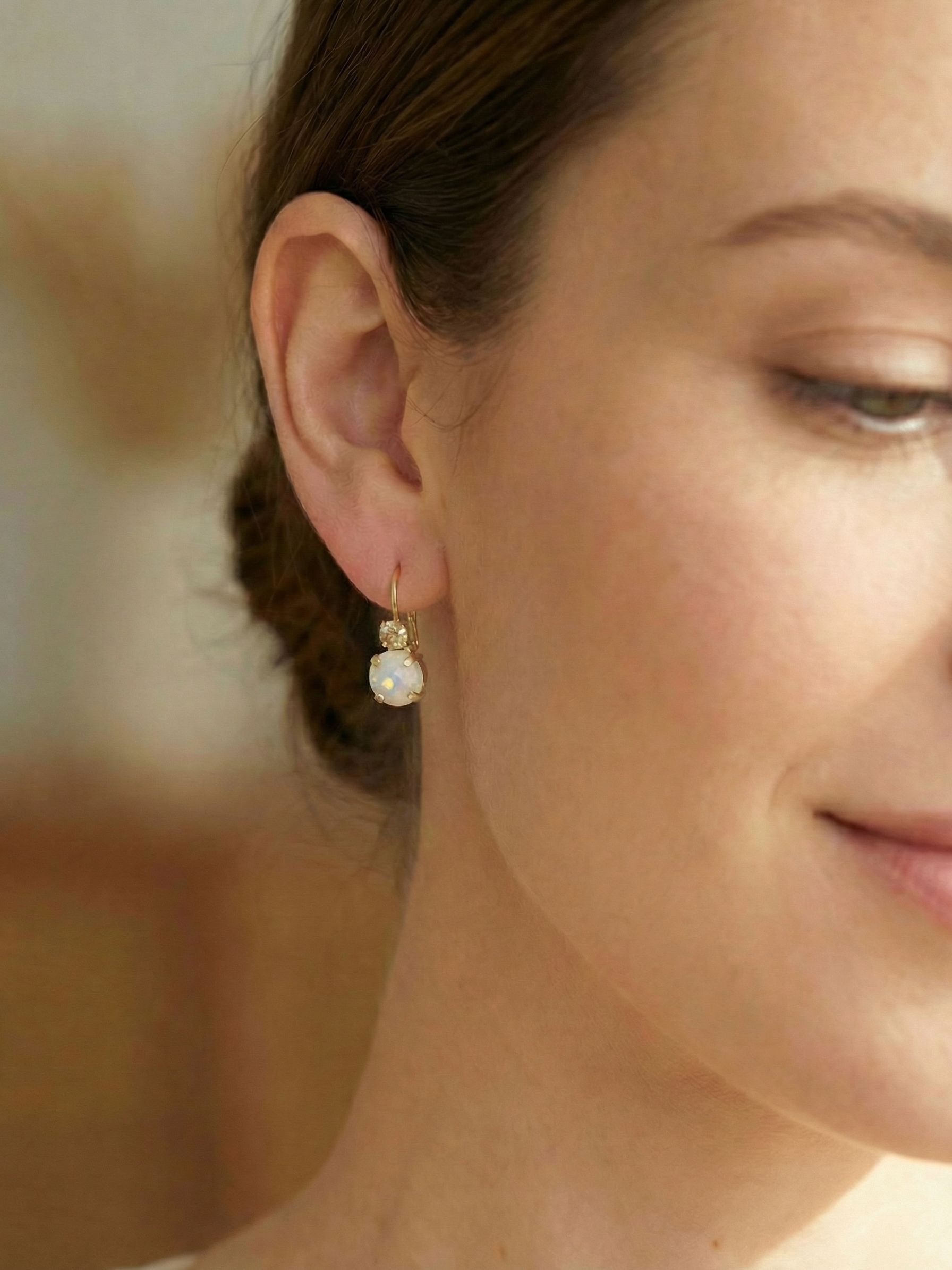 Round Crystal Dangle Earrings - ECW36BGGGO