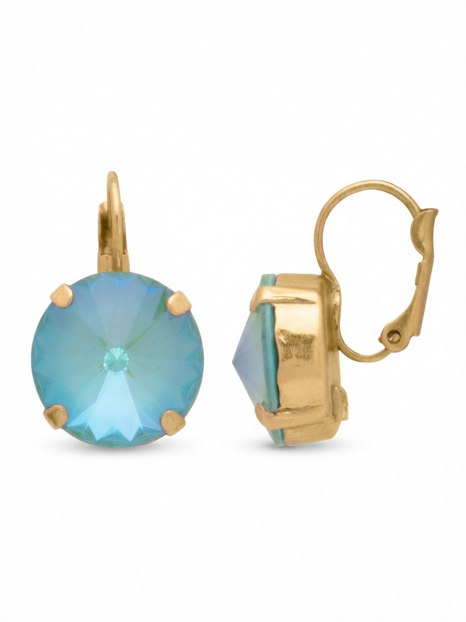 Nadine Dangle Earrings - EDH108BGSBD - <p>The Nadine Dangle Earrings feature a single round rivoli-cut crystal with a lever-back French wire.</p>