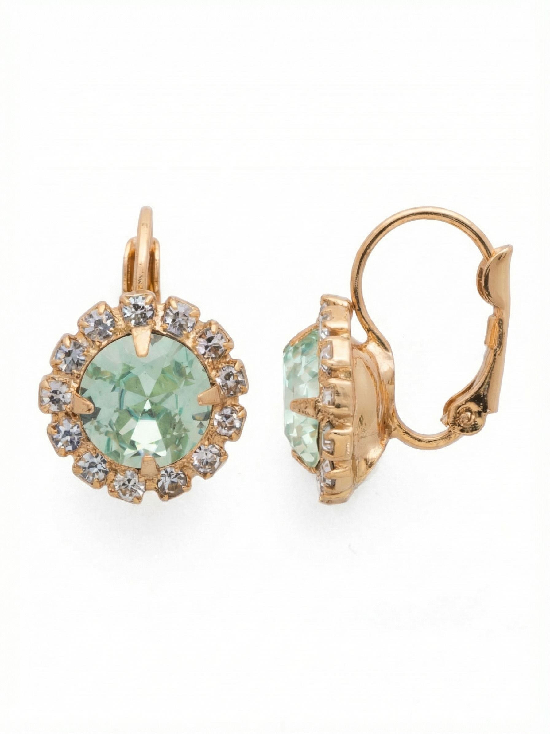 Haute Halo Dangle Earrings - EDL100BGAQU - <p>A pale, round-cut aquamarine crystal anchors this drop earring, capturing natural light as you move. A tight perimeter of clear crystal chain wraps the center stone, adding a quiet brightness to the side of the face. The hinged wire closure offers a comfortable, secure hold throughout the day. At just under an inch long, it brings a considered wash of color to your daily routine, shifting easily from morning meetings to an evening out.</p><ul>
<li>Prominent round-cut center crystal wrapped in a tight rhinestone chain border</li>
<li>Compact drop design that catches light with subtle daily movement</li>
<li>Hook drop for easy, lightweight wear</li>
<li>Protective e-coat finish for lasting wear</li>
<li>Includes signature organza pouch for gifting and travel</li>
</ul>