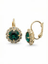 Haute Halo Dangle Earrings