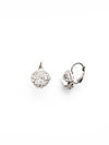 Haute Halo Dangle Earrings