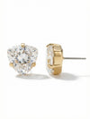 Perfectly Pretty Stud Earring