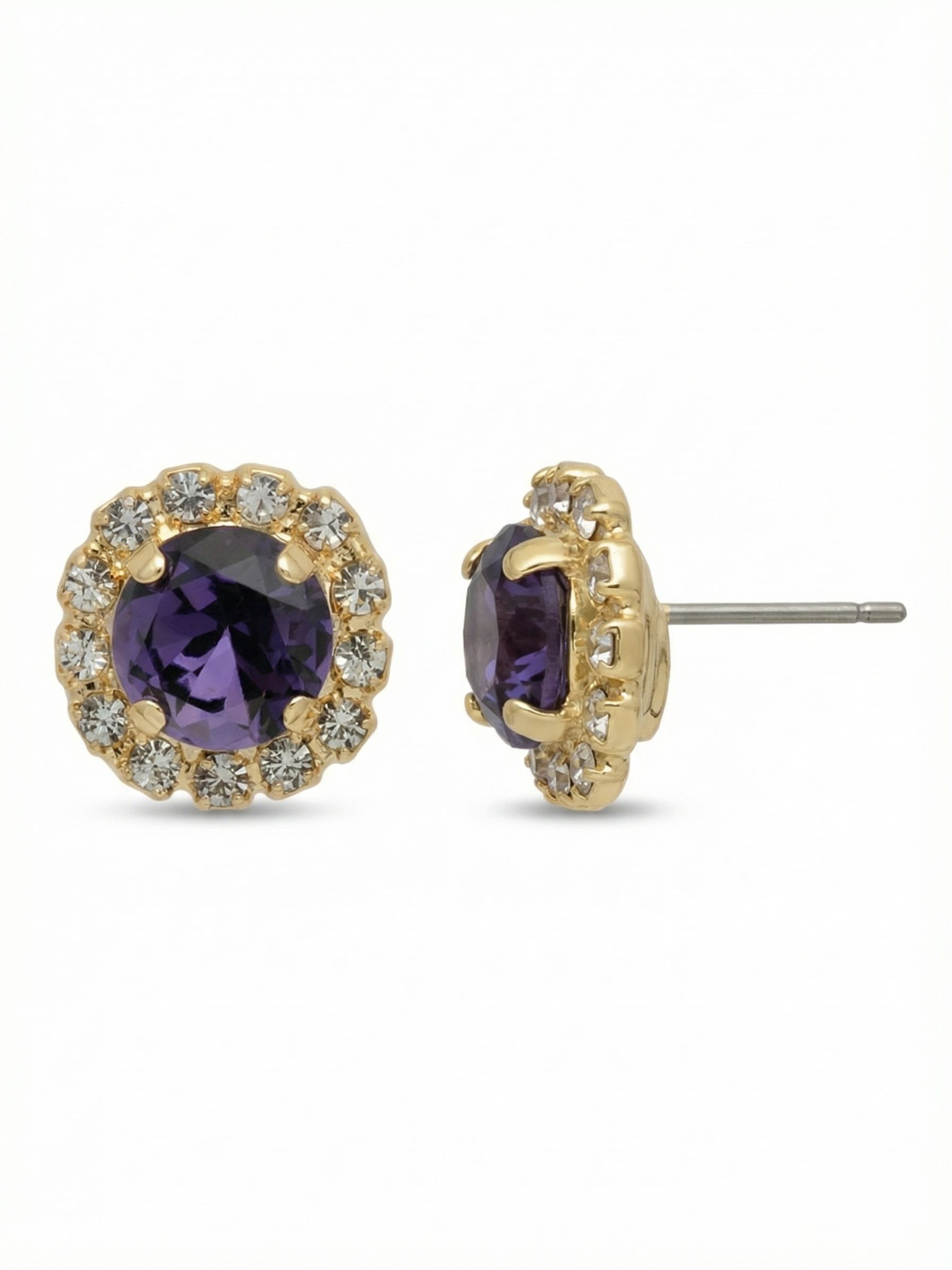 Haute Halo Stud Earring - EEY10BGPV - <p>The Haute Halo Stud Earrings are in instant favorite; a round cut crystal sits in a halo setting, complete with a comfortable post and monster backs.</p>