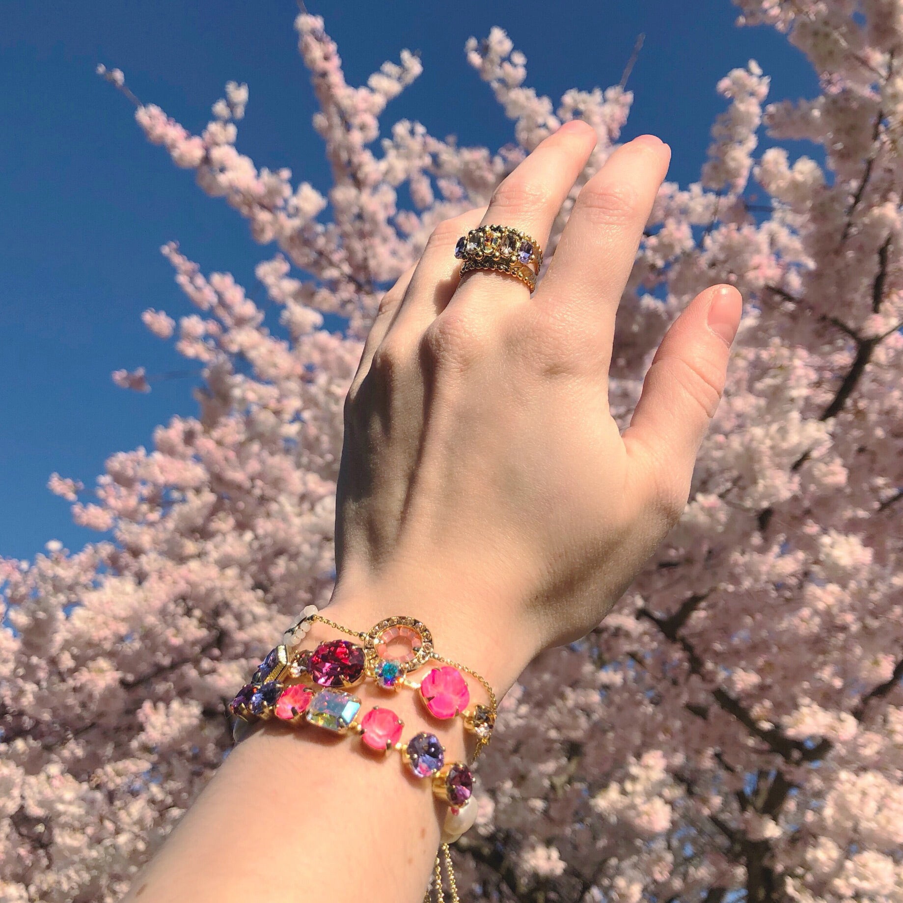 Cadenza Slider Bracelet - BEC14BGISS